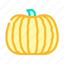 pumpkin, plant, halloween, autumn, orange, thanksgiving