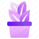 plant, plant pot, potted plant, pot, flower