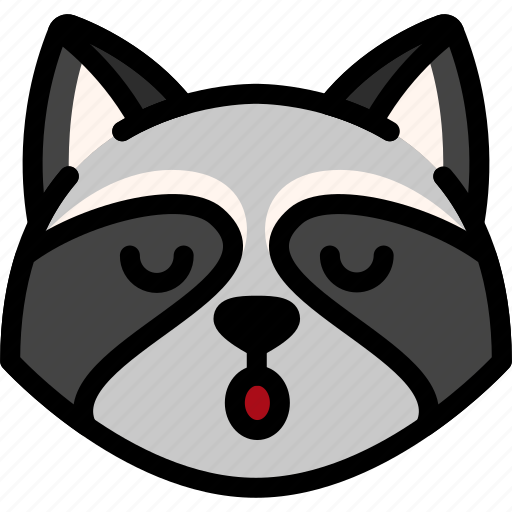 Emoji, emotion, expression, face, feeling, raccoon, sleeping icon - Download on Iconfinder