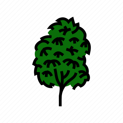 Kauri, tree, jungle, amazon, rainforest, nature icon - Download on Iconfinder