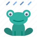 amphibian, frog, rainy, toad, wet