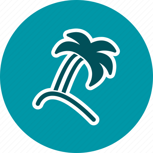 Plam, plant, tree icon - Download on Iconfinder