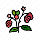 berries, plant, raspberry, fruit, berry, red