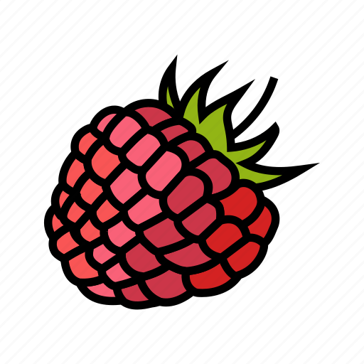 Raspberry, berry, leaf, fruit, red, food icon - Download on Iconfinder