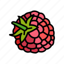 raspberry, leaf, berry, fruit, red, food