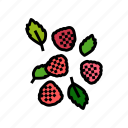 ripe, raspberry, berries, fruit, berry, red
