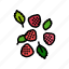 ripe, raspberry, berries, fruit, berry, red 