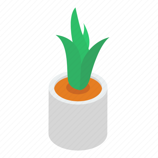 Aloe vera, decorative plant, house plant, indoor plant, outdoor plant, plant, potted plant icon - Download on Iconfinder