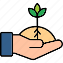 plant, a, tree, hand, seeds, greening, nature, ecology, eco, icon