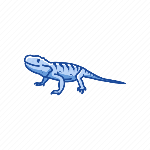 Animal, bearded dragon, dragon lizard, lizard, rakins dragon, reptiles icon - Download on Iconfinder