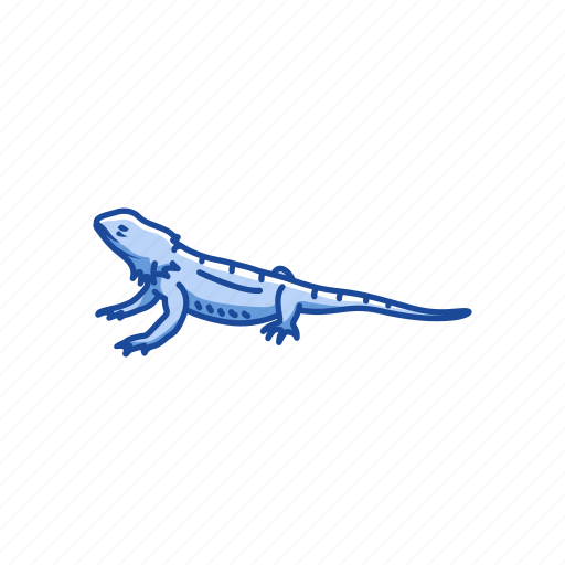 Animal, bearded dragon, dragon lizard, lizard, rakins dragon, reptile icon - Download on Iconfinder