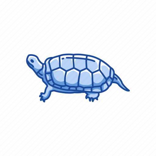 Animal, bog turtle, pet, reptile, shell, small aquatic turtle, turtle icon - Download on Iconfinder