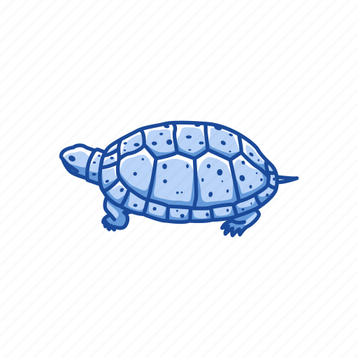 Animal, clemmys guttata, reptile, semi-aquatic turtle, spotted turtle icon - Download on Iconfinder