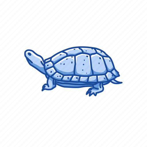 Animal, clemmys guttata, reptile, semi-aquatic, spotted turtle icon - Download on Iconfinder
