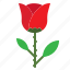 flower, love, romantic, rose 