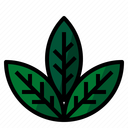 Healthy, herb, leaf icon - Download on Iconfinder