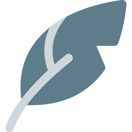 Quill, calligraphy, feather icon - Download on Iconfinder