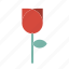 flower, love, rose 