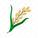 food, leaf, nature, pattern, plant, rice, summer