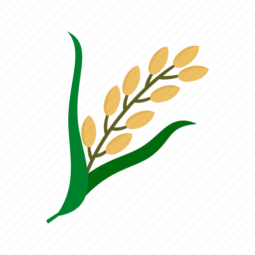 Food, leaf, nature, pattern, plant, rice, summer icon - Download on Iconfinder