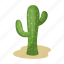 cactus, desert, plant, thorn 
