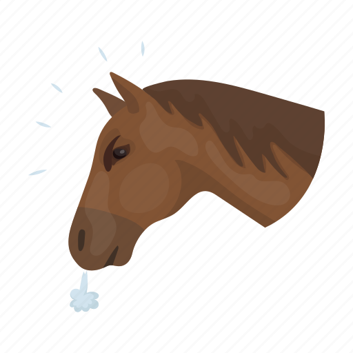 Head, horse, pet, rodeo icon - Download on Iconfinder