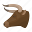 animal, bull, head, horns, rodeo 