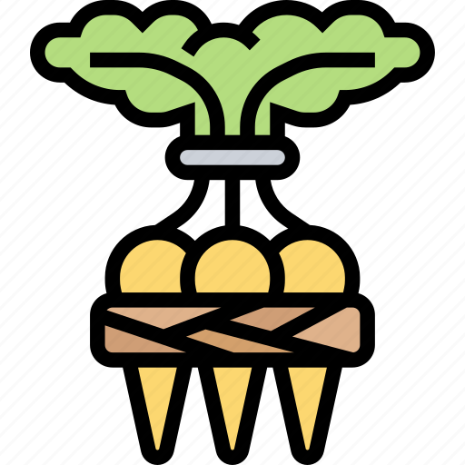 Carrot, baby, food, gourmet, organic icon - Download on Iconfinder