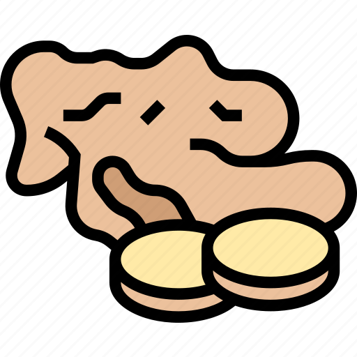 Ginger, herb, ingredient, aroma, condiment icon - Download on Iconfinder