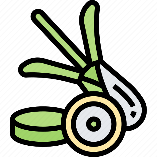 Lemongrass, herb, ingredient, aroma, tropical icon - Download on Iconfinder