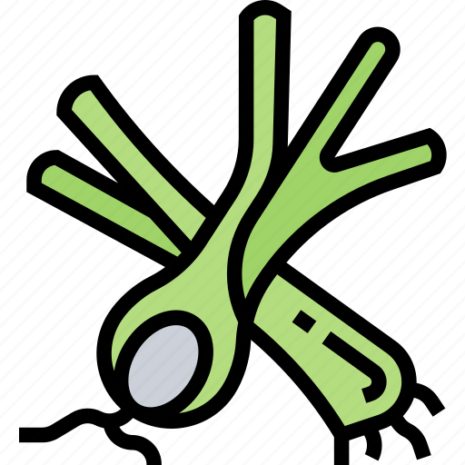 Spring, onion, condiment, vegetable, smell icon - Download on Iconfinder