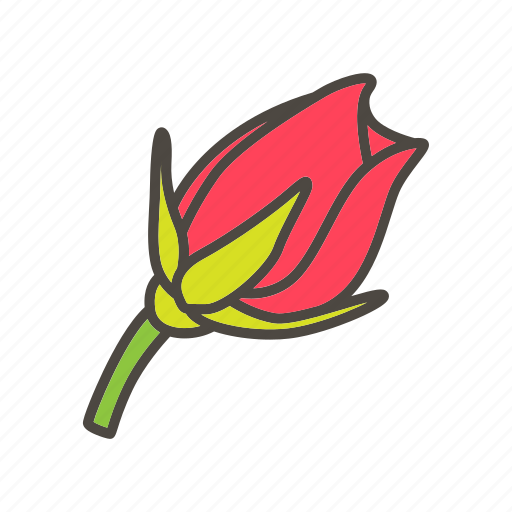 Ature, cartoon, flower, illustration, petals, plant, rose icon - Download on Iconfinder