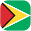 country, flag, guyana, national, rounded, square 