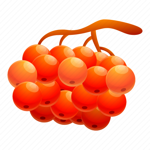 Park, rowan, berry icon - Download on Iconfinder