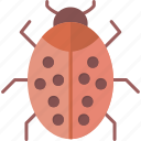 bug, beetle, computer, moth, virus