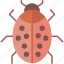 bug, beetle, computer, moth, virus 