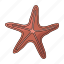 creature, sea, sea star, star 