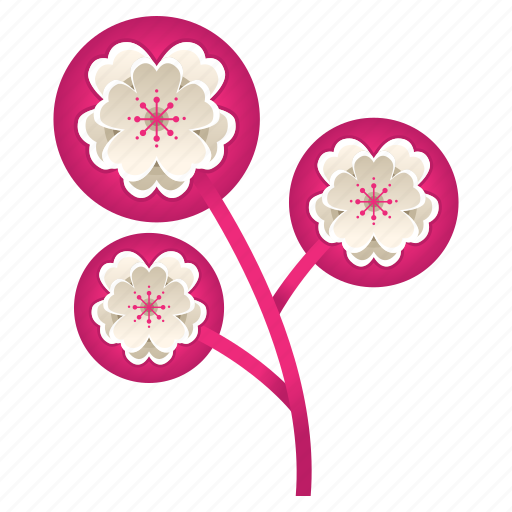 Blossom, cherry, festival, flower, plant, sakura icon - Download on Iconfinder