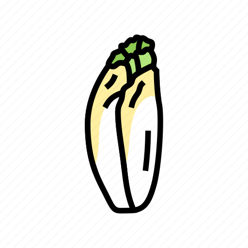 Endive, salad, food, healthy, green, fresh icon - Download on Iconfinder