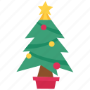 christmas, xmas, celebrate, pine, christmas tree, tree