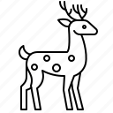 animal, christmas, deer, reindeer, xmas