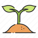 grow, growth, leaf, nature, plant, soil