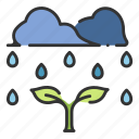 environment, growth, leaf, life, plant, rain, wet