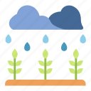 environment, garden, growth, leaf, plant, rain, wet