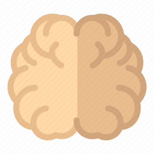 Brain, education, hemisphere, knowledge icon - Download on Iconfinder