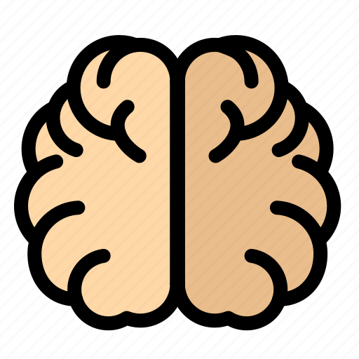 Brain, education, hemisphere, knowledge icon - Download on Iconfinder