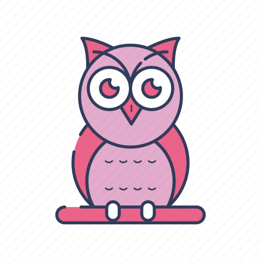 Education, knowledge, learn, learning, owl, school, study icon - Download on Iconfinder