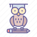 owl, wise, wisdom, education, knowledge, study
