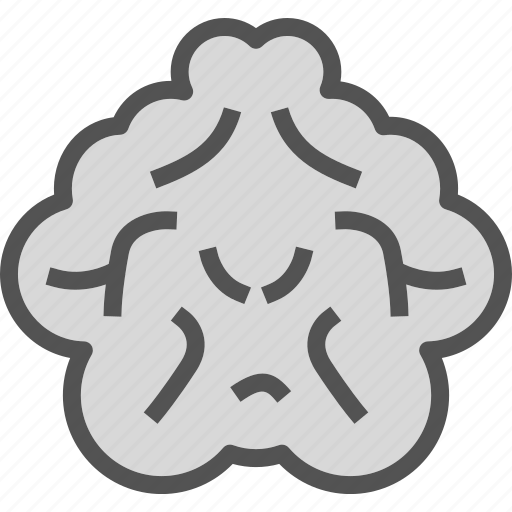 Brain, cloud, human, organ, organism icon - Download on Iconfinder