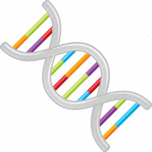 Dna, double helix, molecule, research, science, strand icon - Download on Iconfinder